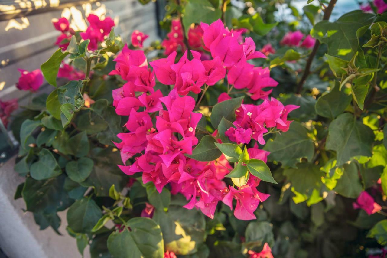 Inn At Palm Springs Luaran gambar